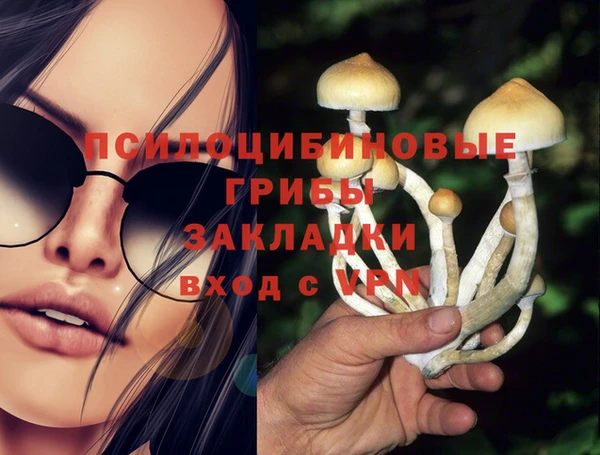 Альфа ПВП Армянск